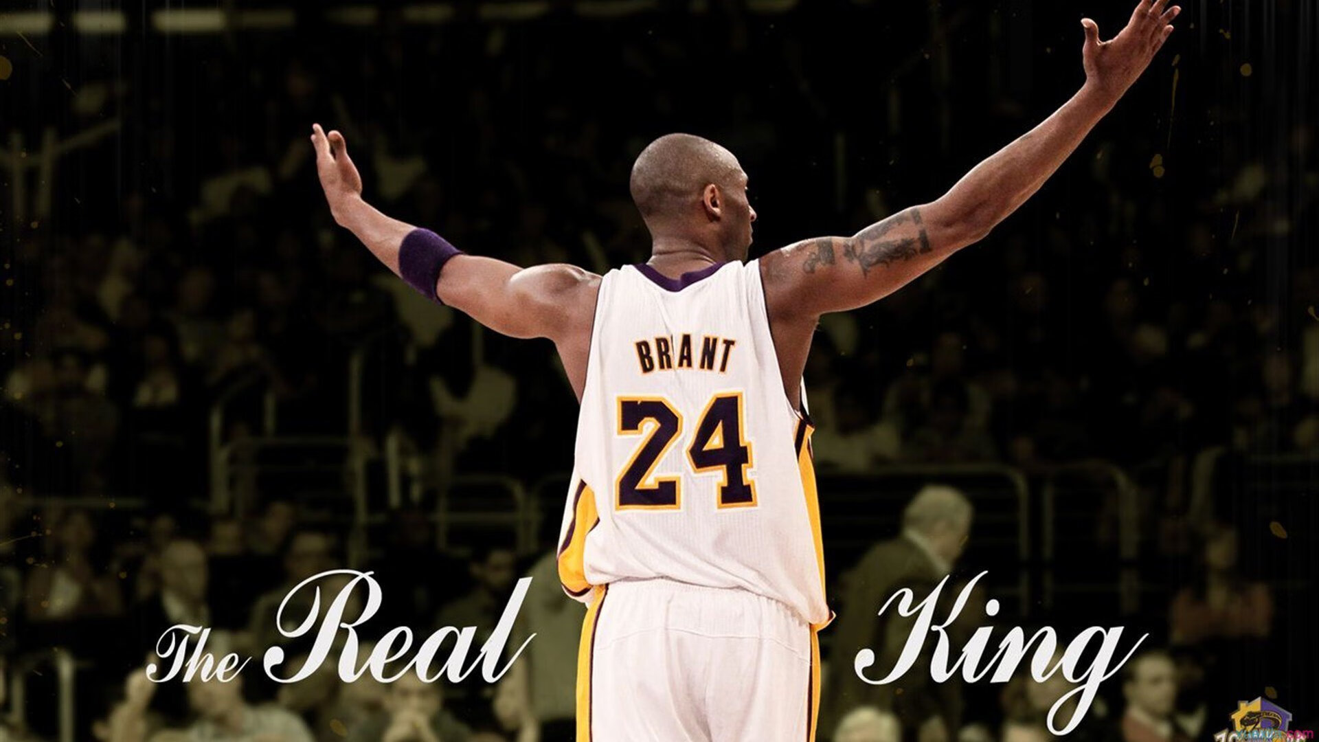 历史最佳阵容：NBA超级明星盘点，nba历史最佳球员