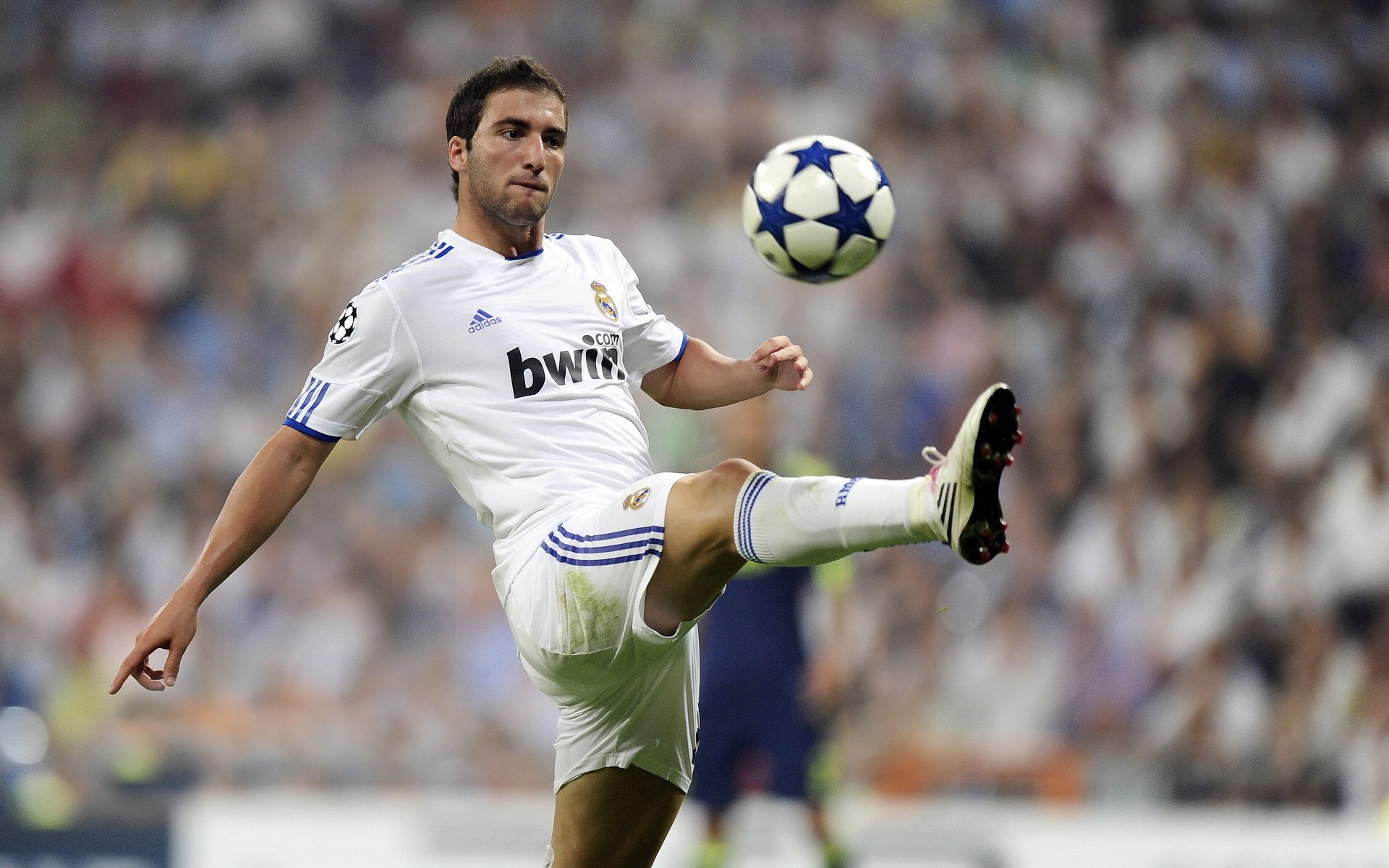 历史最佳阵容：NBA超级明星盘点，nba历史最佳球员